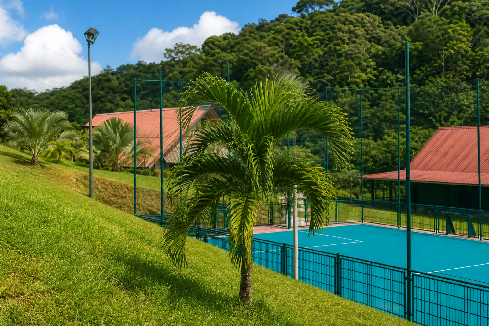 Terrain de Guyane