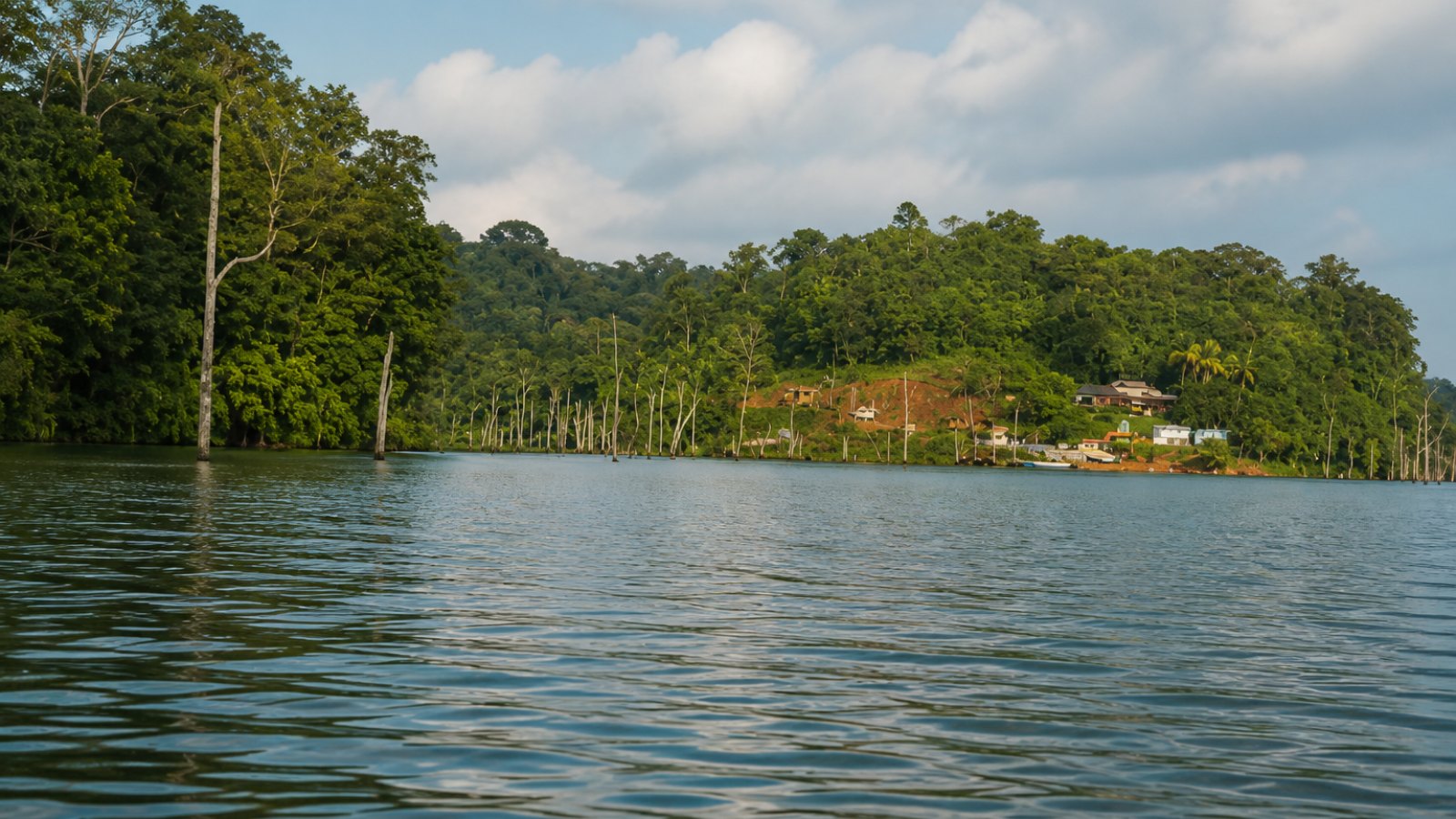 Paysage de Guyane