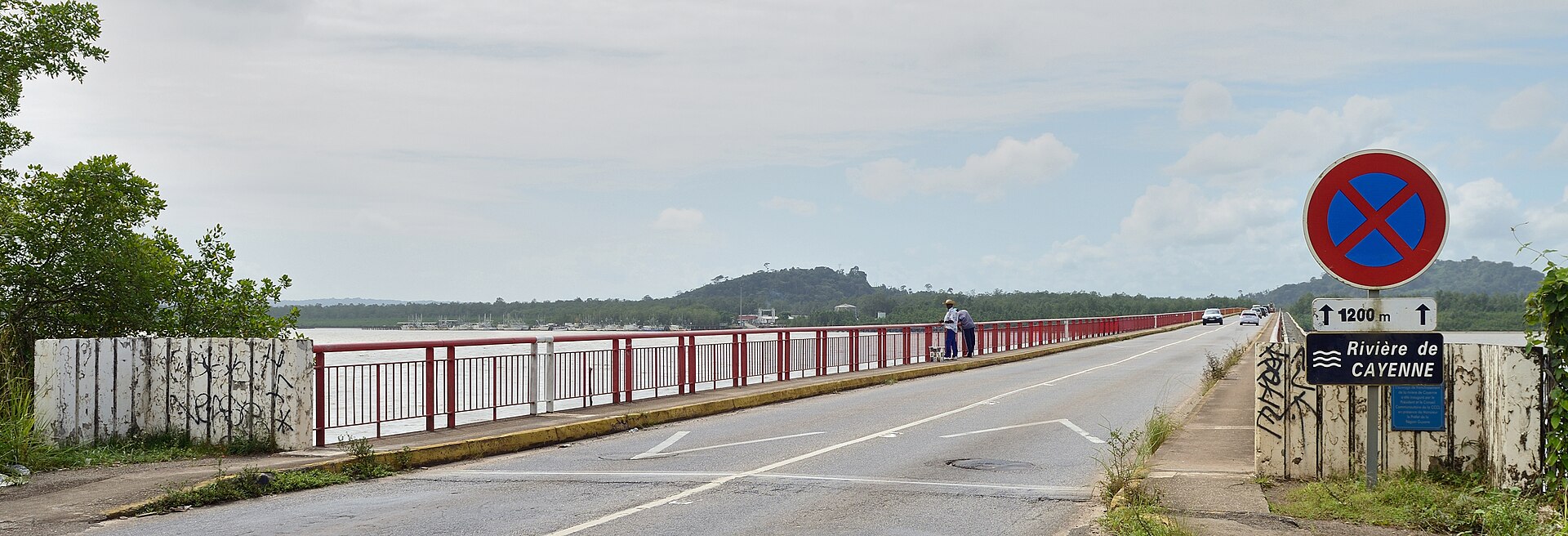 Pont sur la rivière de Cayenne, Guyane